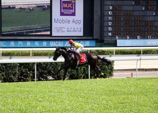 Sacred Capital (NZ) dominates the Macau Derby (1800m).